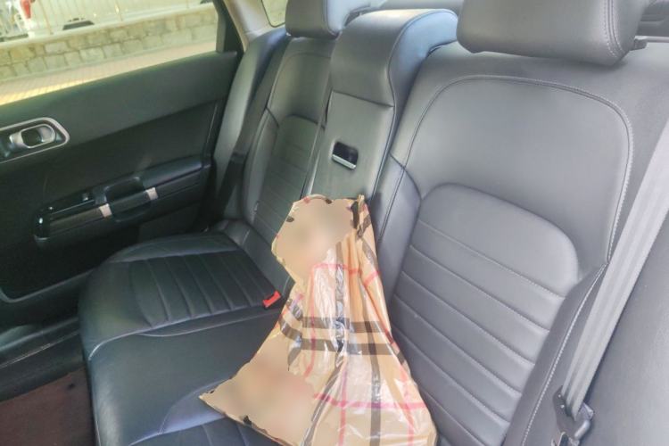 Used Citroen C6 2017 380THP Luxury Version Left Rear Seat