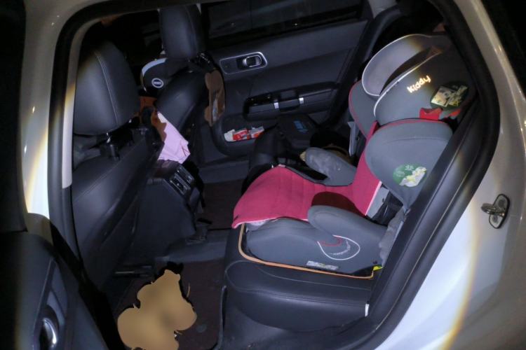 Used Citroen C6 2017 380THP Luxury Version Left Rear Seat