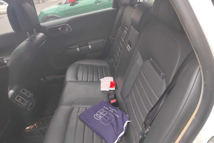 Used Citroen C6 2017 380THP Prestige Model Left Rear Seat