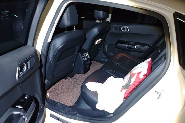 Used Citroen C6 2017 380THP Luxury Version Left Rear Seat