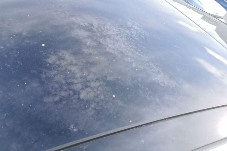 Used Citroen C6 2017 380THP Prestige Model Roof