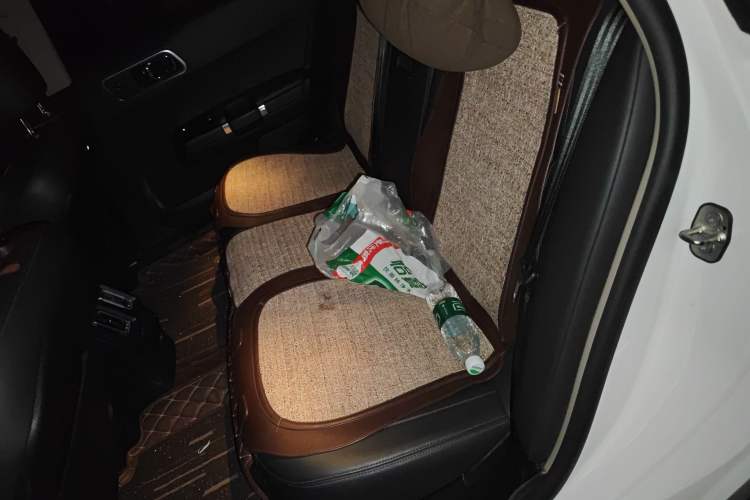 Used Citroen C6 2020 400THP Luxury Version Left Rear Seat