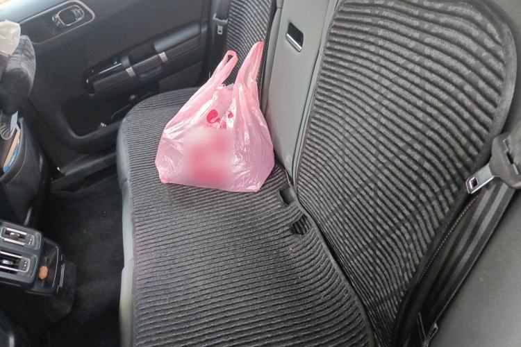 Used Citroen C6 2021 400THP Comfort Edition Left Rear Seat