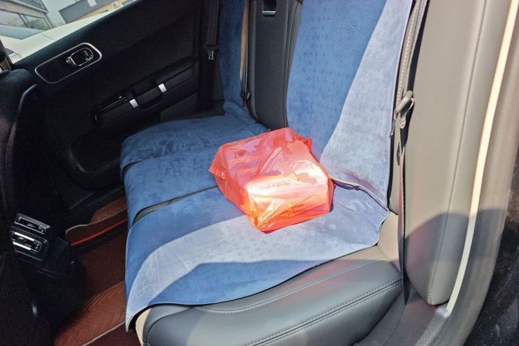 Used Citroen C6 2022 400THP Co-Creation Edition Left Rear Seat
