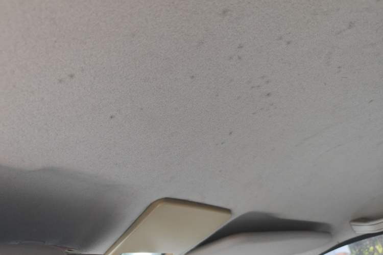 Used Citroen Elysee 2012 Sedan 1.6L Manual Tech Model CNG Headliner