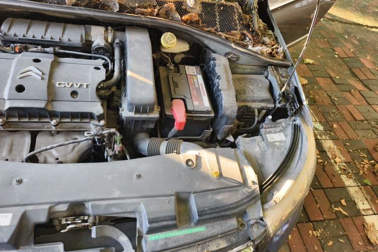 Used Citroen Elysee 2014 1.6L Manual Comfort Model Engine Bay Left