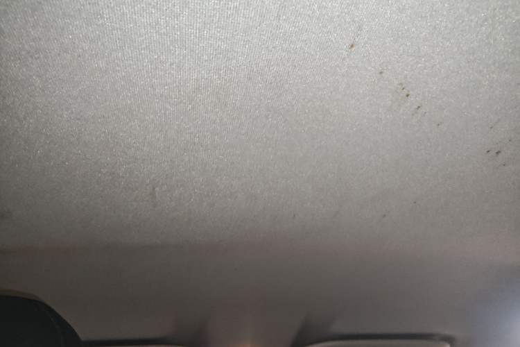 Used Citroen Elysee 2016 1.6L Automatic Fashion Model Headliner