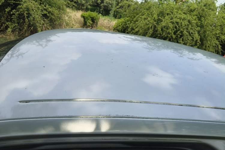 Used Citroen Elysee 2017 1.6L Manual Fashion Model Roof