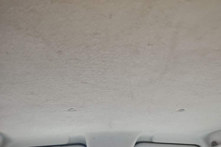 Used Cowin C3 2015 1.5L Manual Gold Diamond Edition Headliner