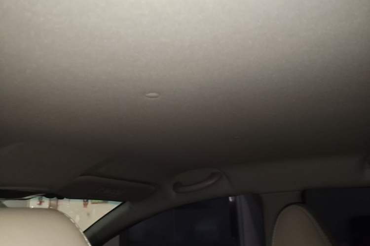 Used Cowin C3 2015 1.5L Manual Gold Diamond Edition Headliner