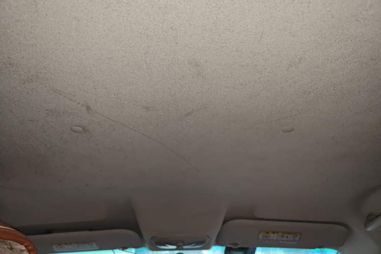 Used Cowin C3 2015 1.5L Manual Gold Diamond Edition Headliner