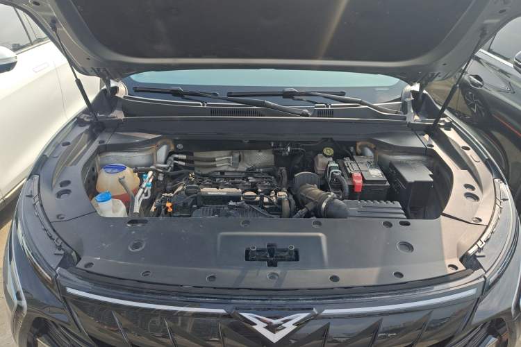 Used Cowin Kunlun 2023 Kunlun 300 Skyline R Edition Engine Bay
