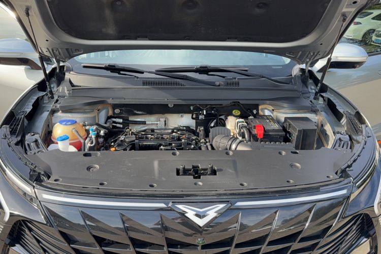 Used Cowin Kunlun 2023 Kunlun 300 Plateau Edition Engine Bay