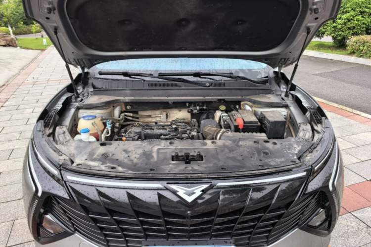 Used Cowin Kunlun 2023 Kunlun 300 Plateau Edition Engine Bay