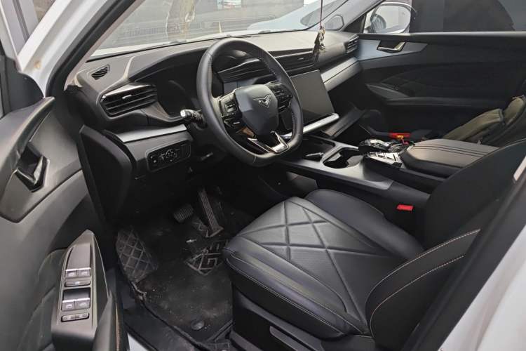 Used Cowin Kunlun 2023 Kunlun 300 Mountain Peak Edition Driver Seat
