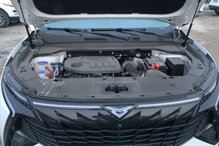 Used Cowin Kunlun 2023 Kunlun 500 Galaxy Edition Engine Bay