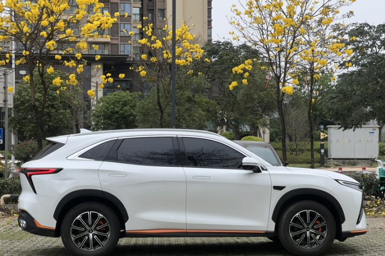 Used Cowin Kunlun 2023 Kunlun 300 Mountain Peak R Edition Exterior 1