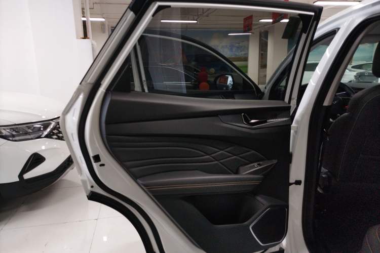 Used Cowin Kunlun 2023 Kunlun 300 Mountain Peak Edition Left Rear Door Interior