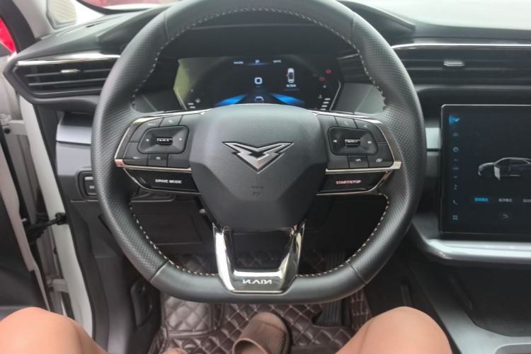 Used Cowin Kunlun 2023 Kunlun 300 Mountain Peak Edition Steering Wheel