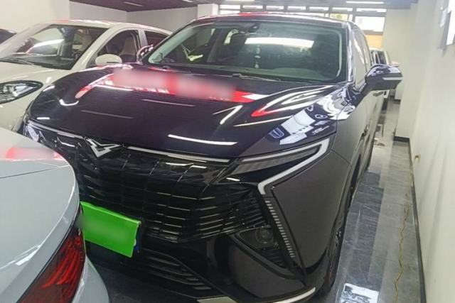 Used Cowin Kunlun 2024 1.6T Plateau Edition 5 Seats