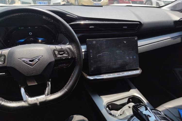 Used Cowin Kunlun 2024 1.6T Plateau Edition 5 Seats Audio And AC Panel