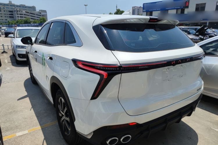 Used Cowin Kunlun 2024 1.6T Plateau Edition 5 Seats Exterior 2