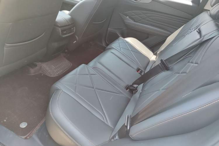 Used Cowin Kunlun 2024 1.6T Plateau Edition 5 Seats Left Rear Seat