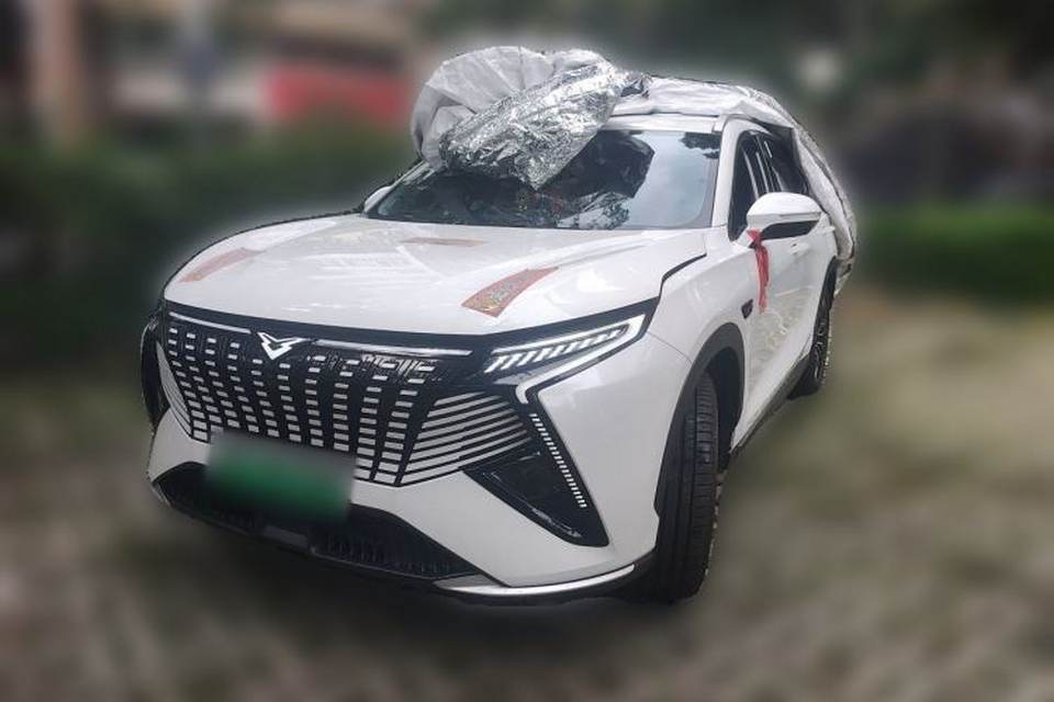 Cowin Kunlun 2024
