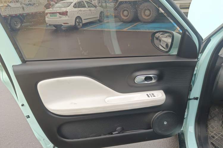 Used Cowin October 2023 201km Wave Rider Edition Left Front Door Interior