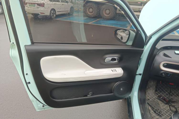 Used Cowin October 2023 201km Wave Rider Edition Left Rear Door Interior