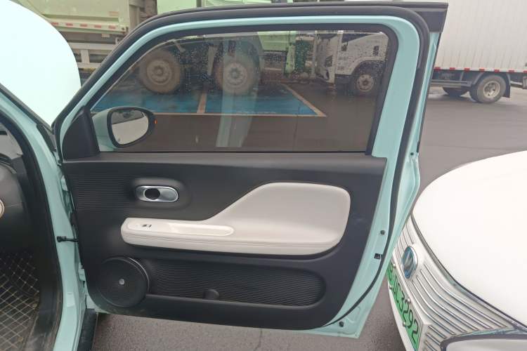 Used Cowin October 2023 201km Wave Rider Edition Right Rear Door Interior