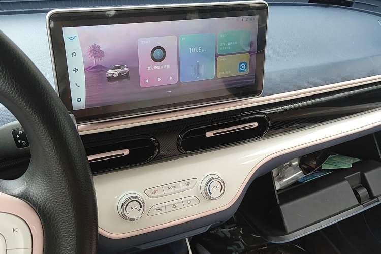Used Cowin October 2023 201km Wave Rider Edition Audio And AC Panel