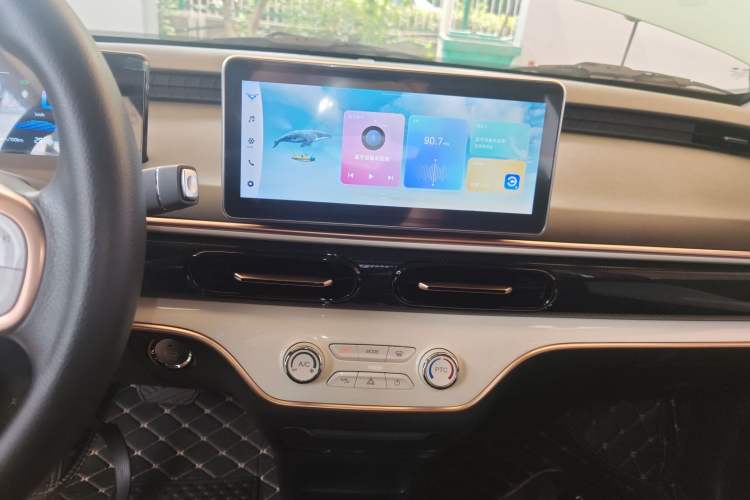 Used Cowin October 2023 201km Wave Rider Edition Audio And AC Panel
