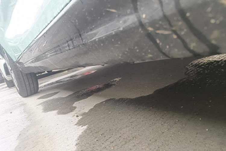 Used Cowin October 2023 201km Wave Rider Edition Right Side Sill