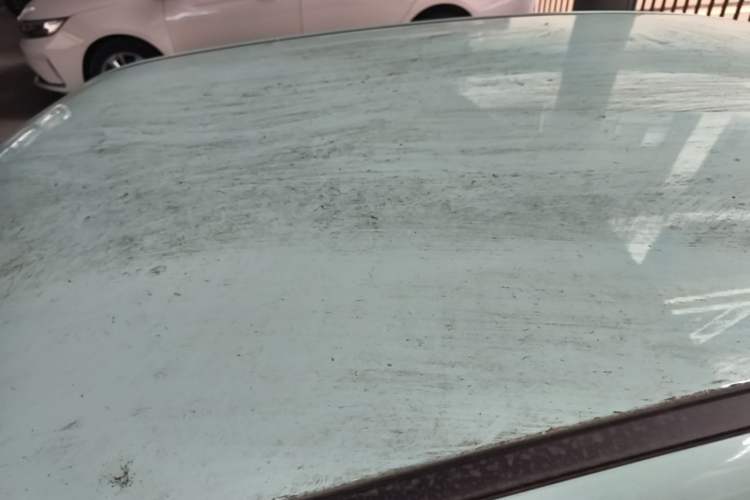 Used Cowin October 2023 201km Wave Rider Edition Roof