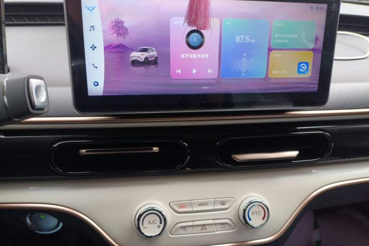 Used Cowin October 2023 201km Wave Rider Edition Audio And AC Panel