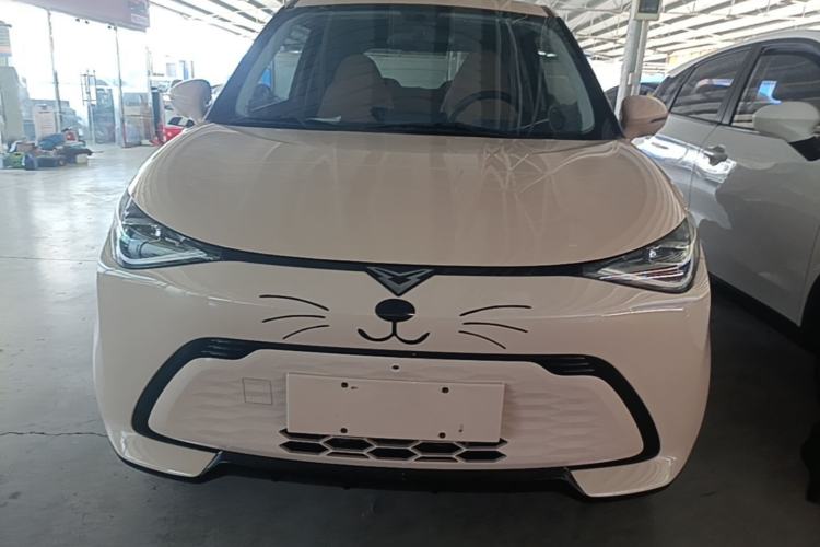 Used Cowin October 2023 301km Zhi Feng Edition Front