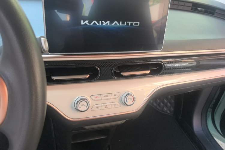 Used Cowin October 2023 301km Zhi Feng Edition Audio And AC Panel