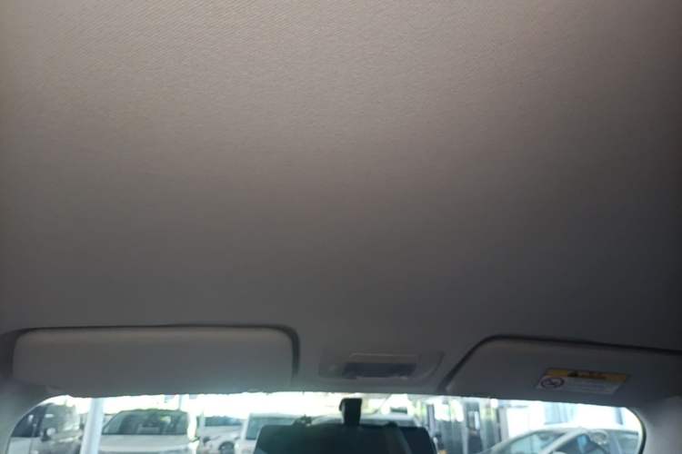 Used Cowin October 2023 301km Zhi Feng Edition Headliner
