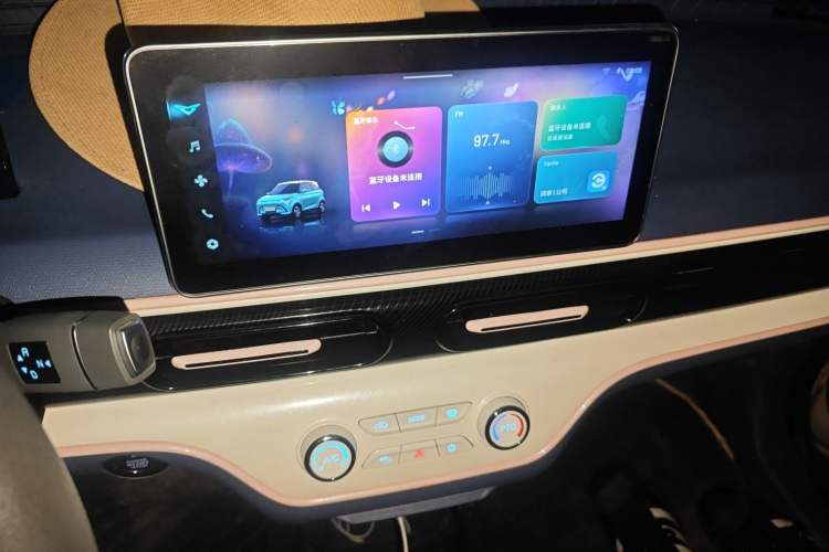 Used Cowin October 2023 201km Wave Rider Edition Audio And AC Panel