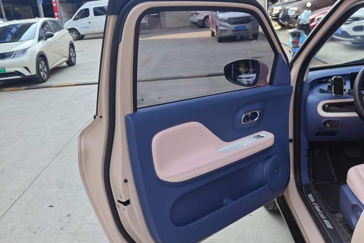 Used Cowin October 2023 301km Zhi Feng Edition Left Front Door Interior