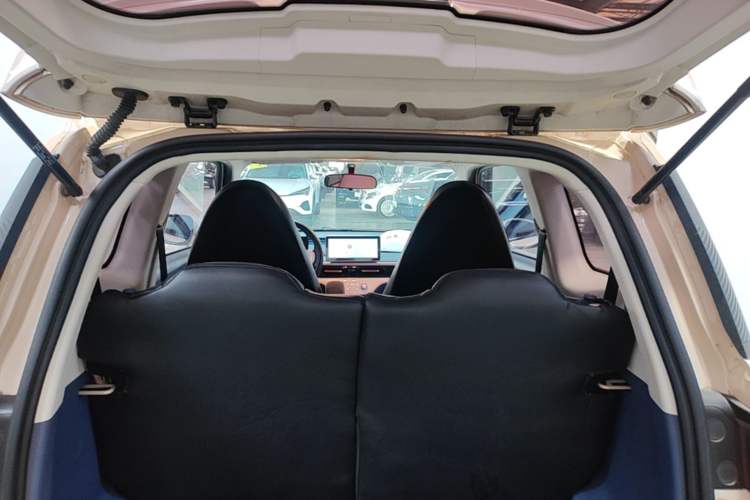 Used Cowin October 2023 301km Zhi Feng Edition Trunk