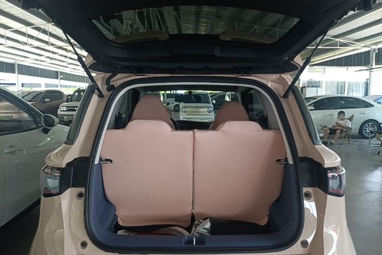 Used Cowin October 2023 301km Zhi Feng Edition Trunk