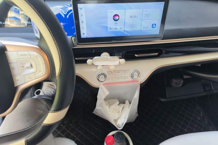 Used Cowin October 2023 301km Zhi Feng Edition Audio And AC Panel
