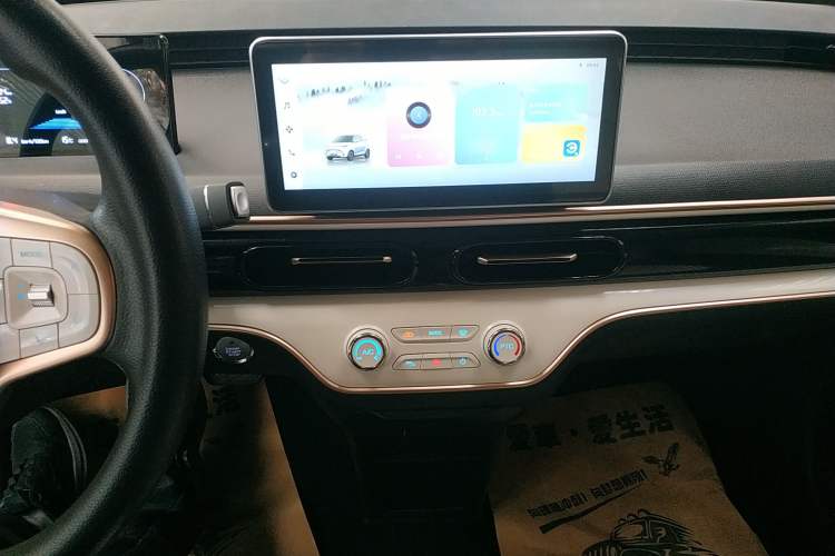 Used Cowin October 2023 201km Wave Rider Edition Audio And AC Panel