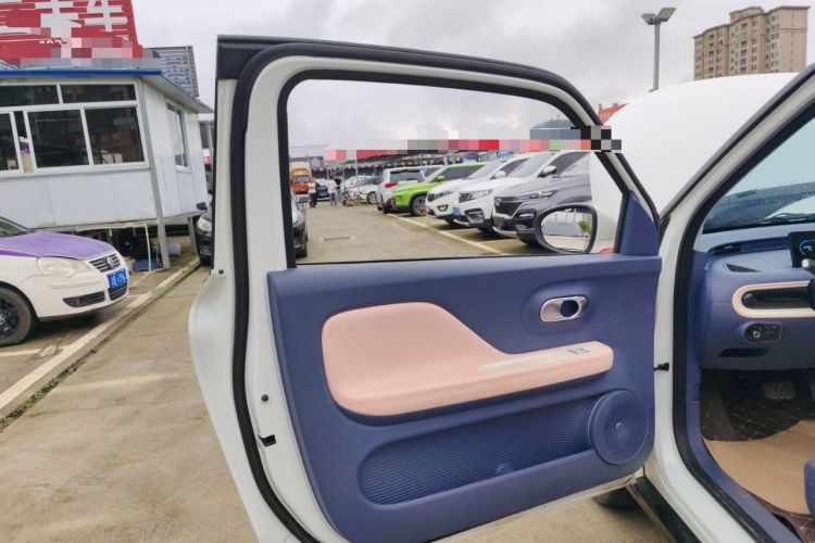 Used Cowin October 2023 201km Wave Rider Edition Left Front Door Interior