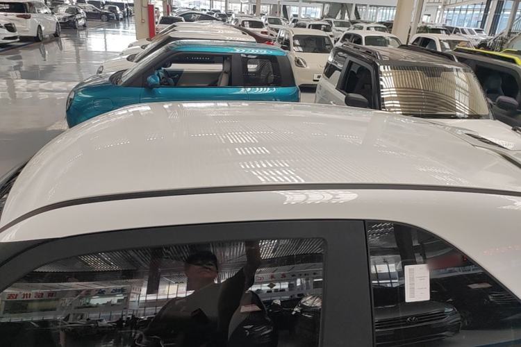 Used Cowin October 2023 201km Wave Rider Edition Roof