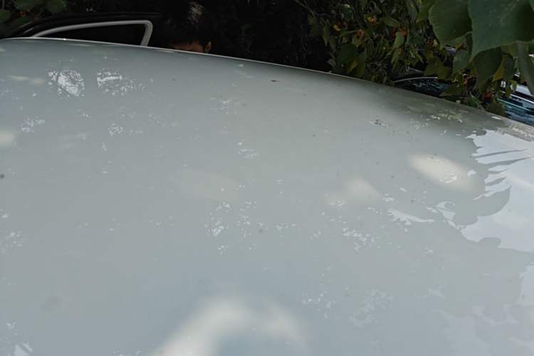 Used Cowin October 2023 201km Wave Rider Edition Roof
