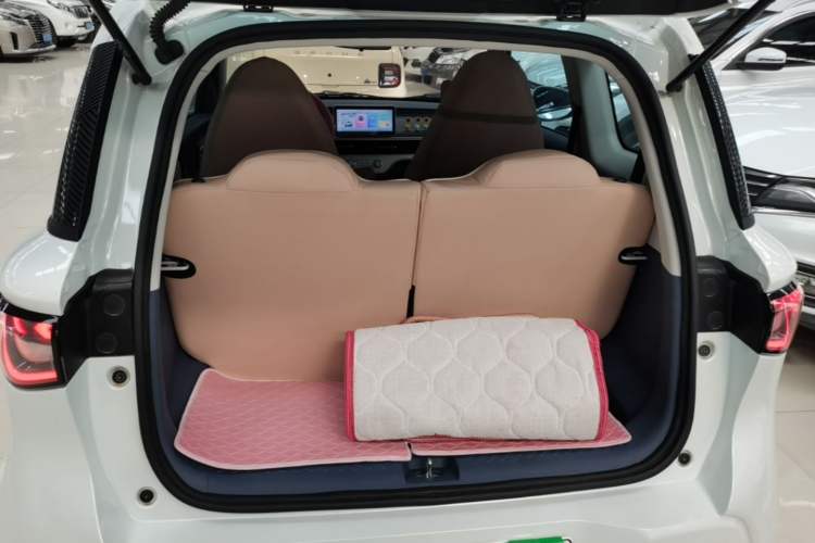 Used Cowin October 2023 201km Wave Rider Edition Trunk