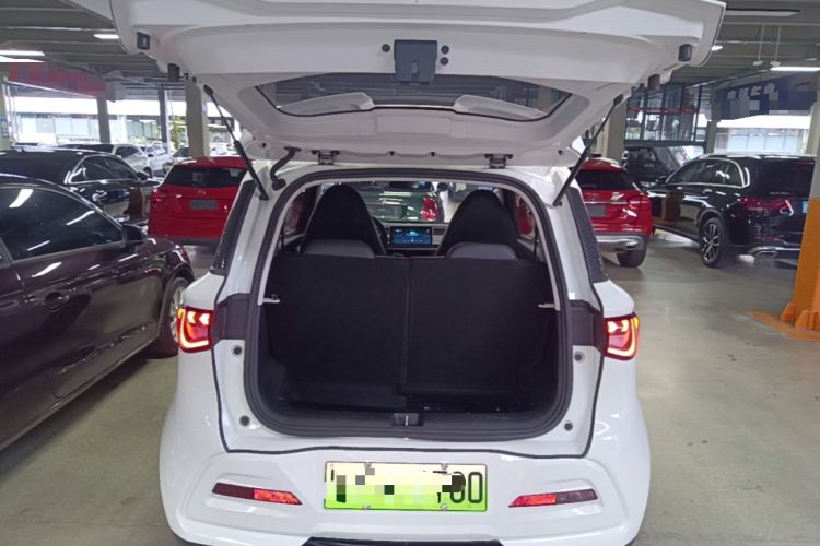 Used Cowin October 2023 201km Wave Rider Edition Trunk